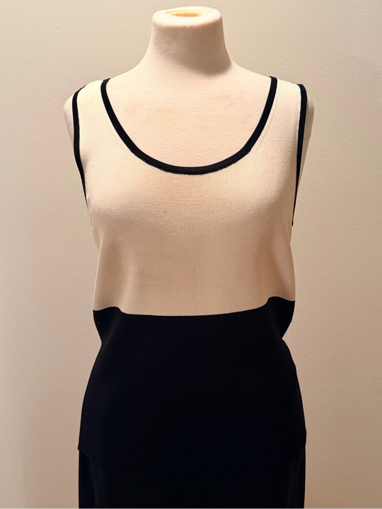 Dana Buchman Tops - Dana Buchman Black & Cream Colorblock Scoop Neck Tank